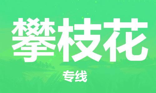 靖江市到攀枝花物流专线-靖江市到攀枝花货运公司