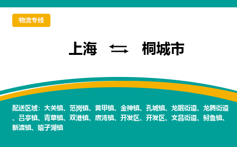 上海到桐城市物流专线-上海到桐城市货运公司