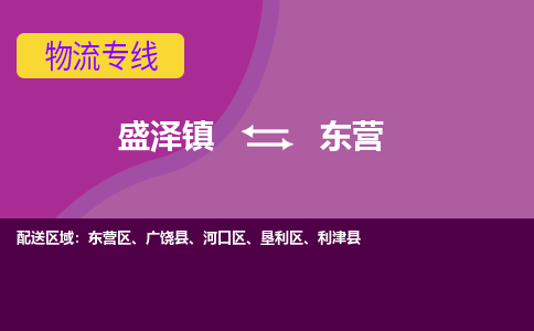 盛泽到东营物流专线_盛泽发至东营货运_盛泽到东营物流公司