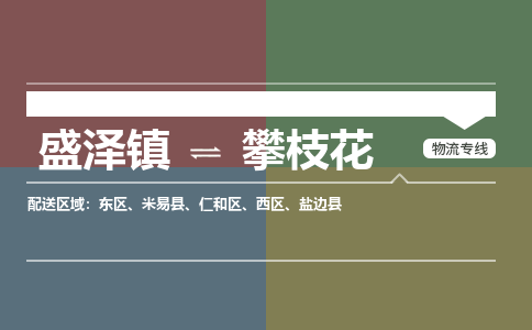 盛泽到攀枝花物流专线_盛泽发至攀枝花货运_盛泽到攀枝花物流公司