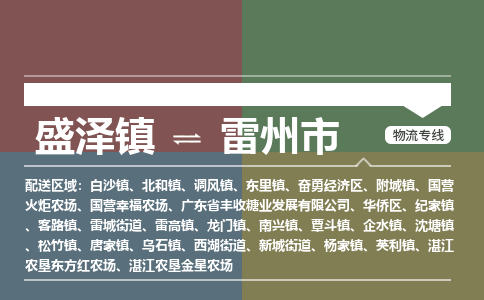 盛泽到雷州市物流专线准点准时盛泽到雷州市物流公司