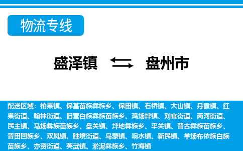 盛泽到盘州市物流专线 长途运输盛泽到盘州市物流公司